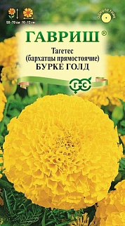 Бархатцы прямостоячие Бурке Голд, 0,3 г