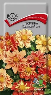 Георгина Коралловый риф, 0,1 г