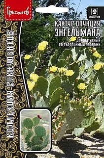 Кактус опунция Энгельмана, 5 шт.