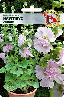 Мини Шток-Роза Наутилус Лилак, 8 шт. Биотехника