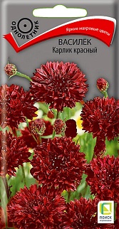 Василёк Карлик красный, 0,1 г