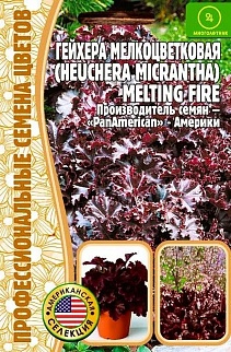 Гейхера Melting Fire мелкоцветков.Pan America, 5 шт.