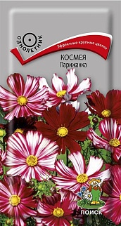 Космея Парижанка, 0,1 г