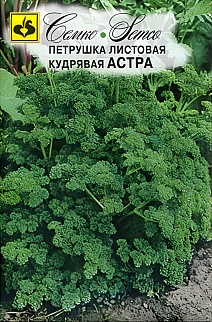 Петрушка кудрявая Астра, 3 г