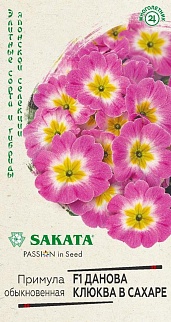 Примула Данова клюква в сахаре F1, 5 шт. Саката.