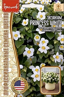 Экзакум Princess White (Принцесса белый), 3 шт. 
