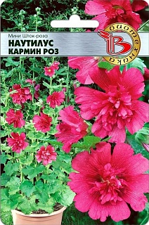 Мини Шток-Роза Наутилус Кармин Роз, 8 шт. Биотехника