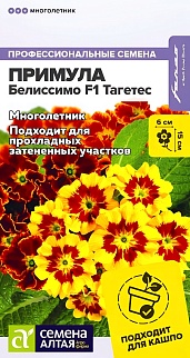 Примула Белиссимо F1, Тагетес, 5 шт. 