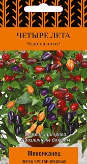 Перец кустарниковый Мексиканец, 5 шт. Четыре лета