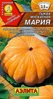Тыква мускатная Мария, 1 г