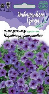 Флокс друммонда Чаровница фиолетовая, 0,05 г. Лавандовые грезы.