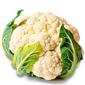 Капуста цветная