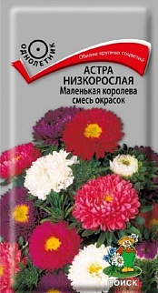 Астра низкорослая Маленькая королева смесь окрасок, 0,1 г 
