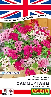 Пеларгония Саммертайм, смесь сортов, 3 шт.