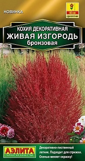 Кохия Живая изгородь бронзовая, 0,1 г