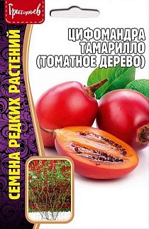 Цифомандра Тамарилло (Томатное дерево), 5 шт.