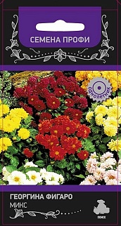 Георгина Фигаро Микс, 10 шт. Семена профи