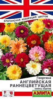 Георгина Английская раннецветущая, смесь, 0,3 г