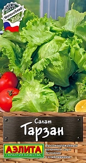 Салат кочанный Тарзан, 0,3 г
