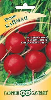 Редис Кайман, 2 г. Авторские семена.