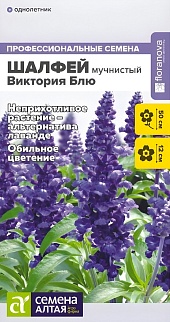 Шалфей Виктория Блю мучнистый, 10 шт.  