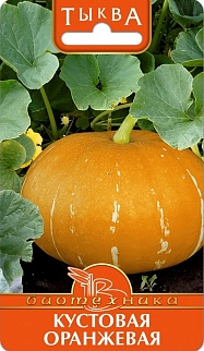 Тыква Кустовая оранжевая, 6 шт. Биотехника