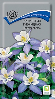 Аквилегия гибридная Голубая звезда, 0,05 г