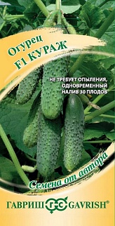 Огурец Кураж F1, 10 шт. Авторские семена.