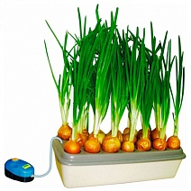 Домашняя гидропонная установка "Луковое счастье"