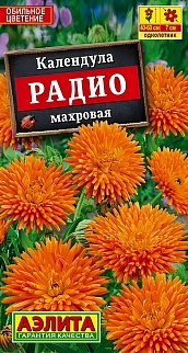 Календула Радио, махровая, 0,5 г