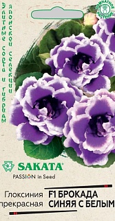 Глоксиния Брокада синяя с белым F1, 5 шт. Саката.