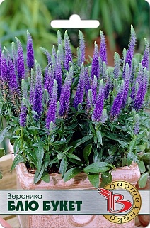 Вероника Блю Букет, 500 шт. Биотехника