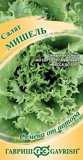 Салат Мишель, 0,5 г. Семена от автора