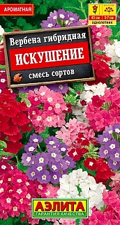 Вербена Искушение, смесь сортов, 40 шт.