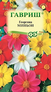 Георгина Миньон, смесь, 0,3 г