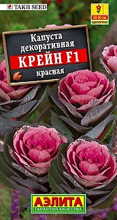 Капуста декоративная Крейн F1, красная, 7 шт.