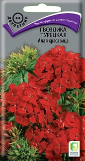 Гвоздика Турецкая Алая красавица, 0,5 г