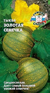 Тыква Золотая семечка, 2 г