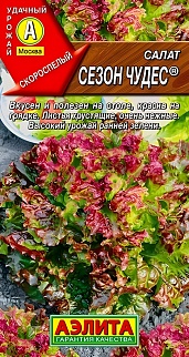 Салат листовой Сезон чудес, 0,5 г
