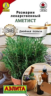 Розмарин Аметист, 20 шт.