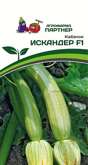 Кабачок Искандер F1, 5 шт. Агрофирма Партнер.