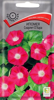 Ипомея Скарлет О'Хара, 0,9 г