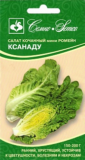 Салат мини ромейн Ксанаду, 15 шт.