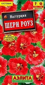 Настурция Шери Роуз, карликовая, 1 г
