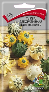 Тыква декоративная Шахрезада звёзды, 5 шт.