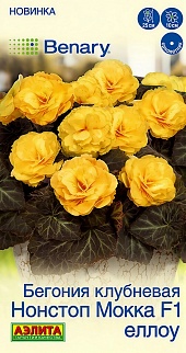 Бегония клубневая Нонстоп мокка F1 еллоу, 5 шт.