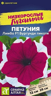 Петуния Лимбо F1 Бургунди пикоти, 10 шт. Низкорослые гиганты  