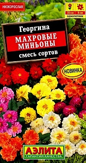 Георгина Махровые миньоны, смесь сортов, 7 шт.
