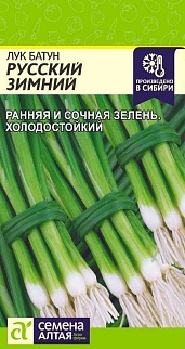 Лук батун Русский зимний, 1 г. Семена Алтая