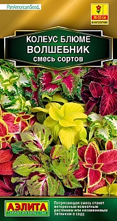 Колеус блюме Волшебник, смесь, 10 шт.